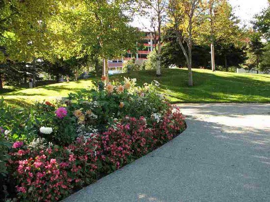 Town Square Municipal Park